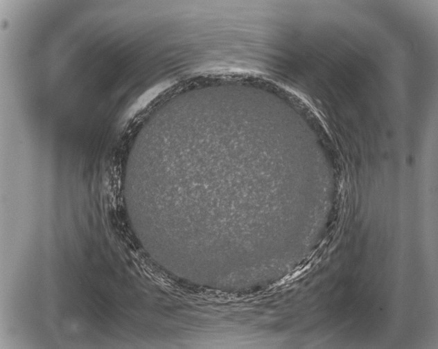 X0000085810871200703231333