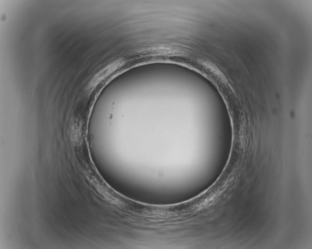 X0000085810873200703231333