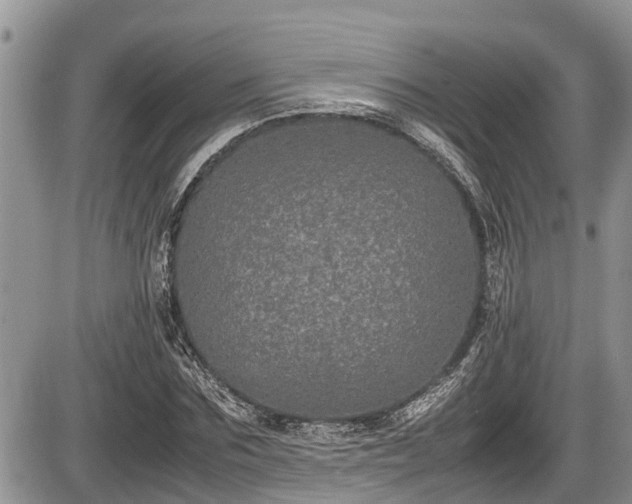 X0000085810875200703231333