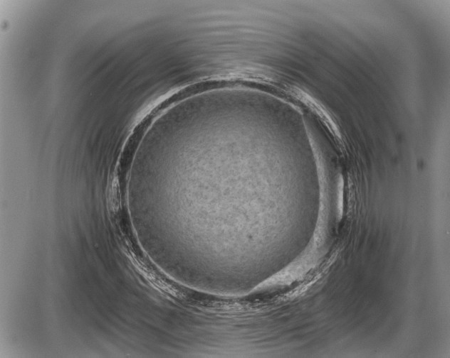 X0000085810876200703231333