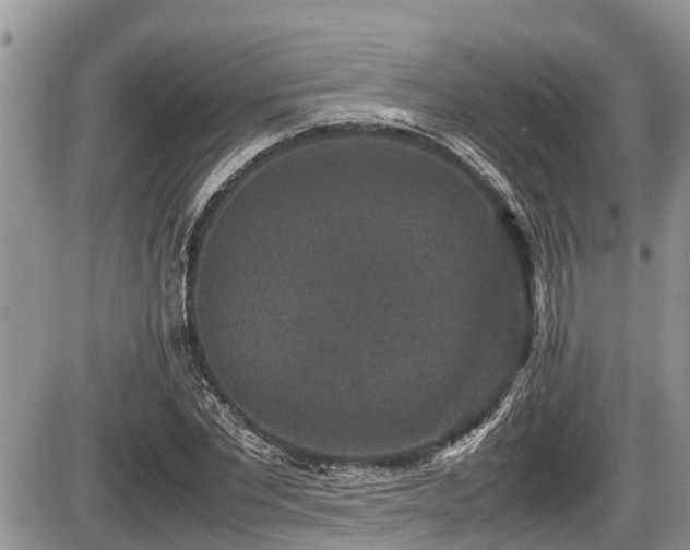 X0000085810877200703231333