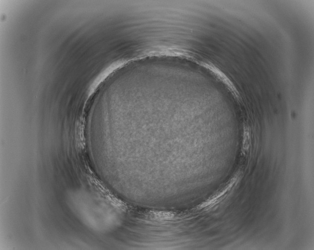 X0000085810878200703231333