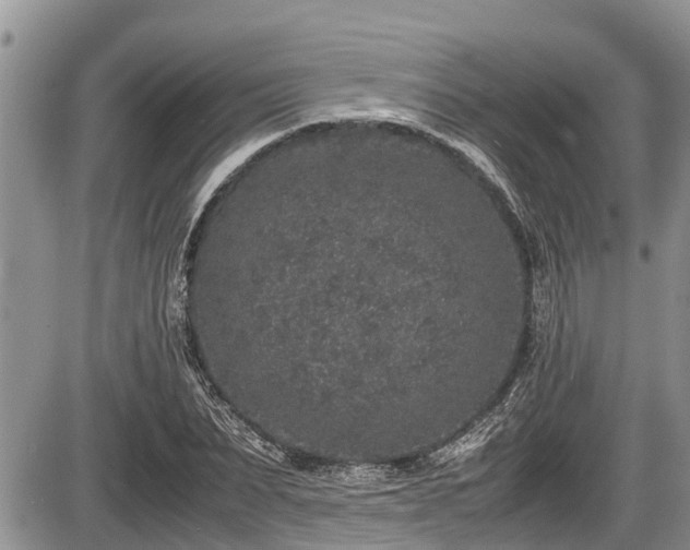 X0000085810879200703231333