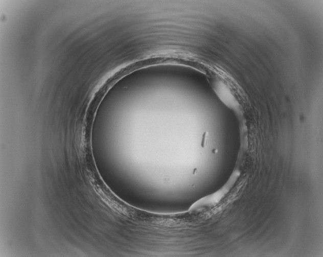 X0000085810880200703231333