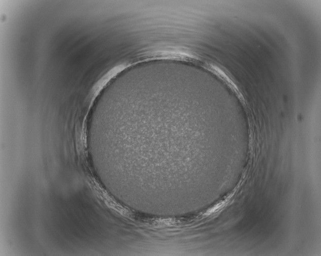 X0000085810883200703231333