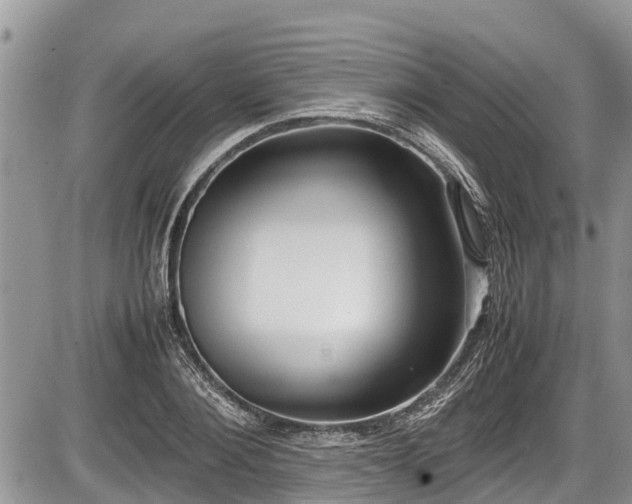 X0000085810884200703231333