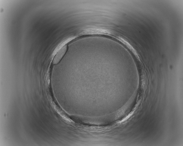 X0000085810885200703231333