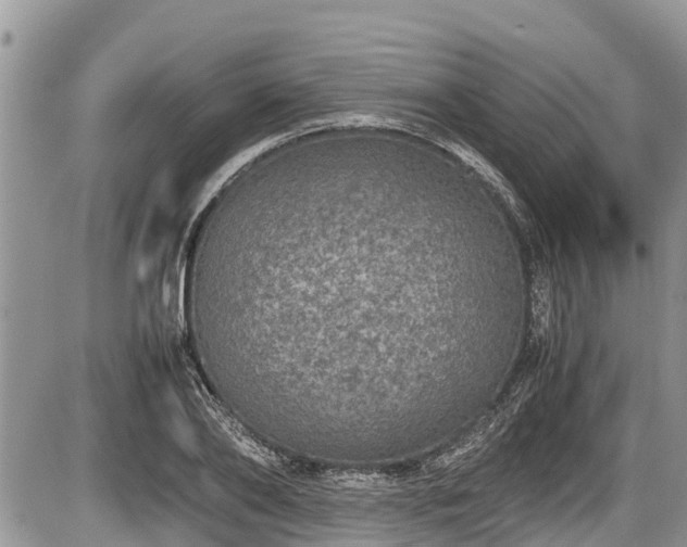 X0000085810886200703231333