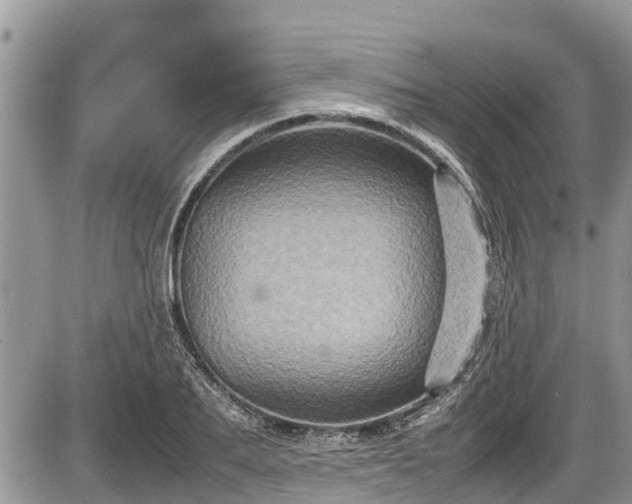 X0000085810887200703231333