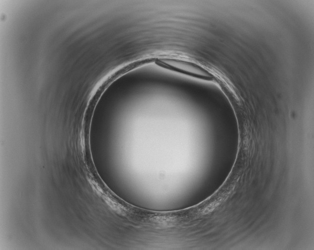 X0000085810888200703231333