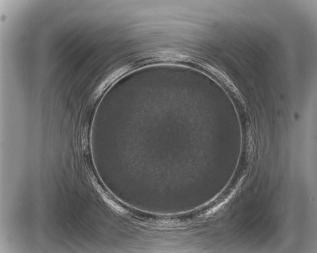 X0000085810889200703231333