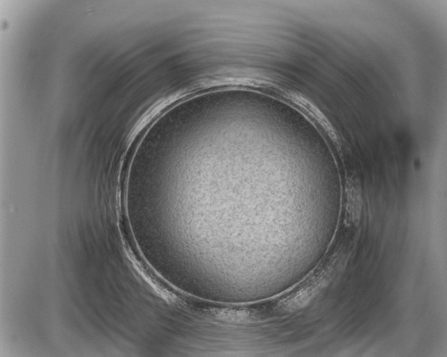 X0000085810890200703231333