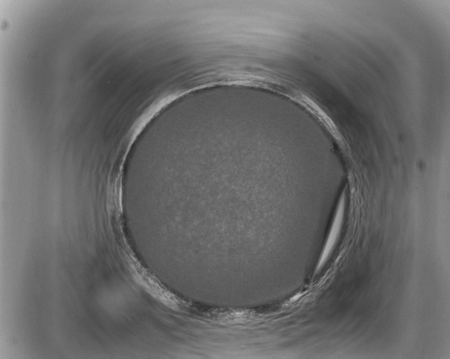 X0000085810891200703231333