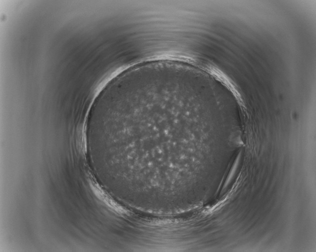 X0000085810892200703231333