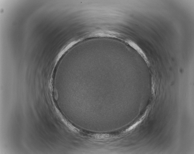 X0000085810893200703231333