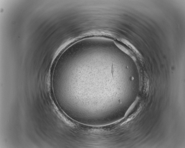 X0000085810894200703231333