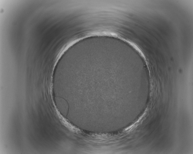 X0000085810895200703231333