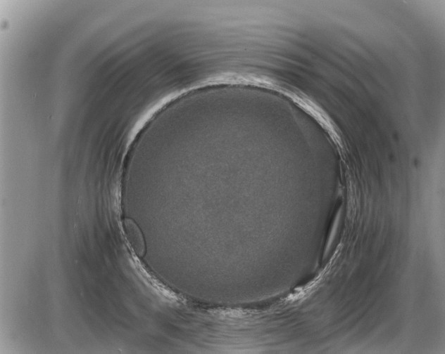 X0000085810896200703231333