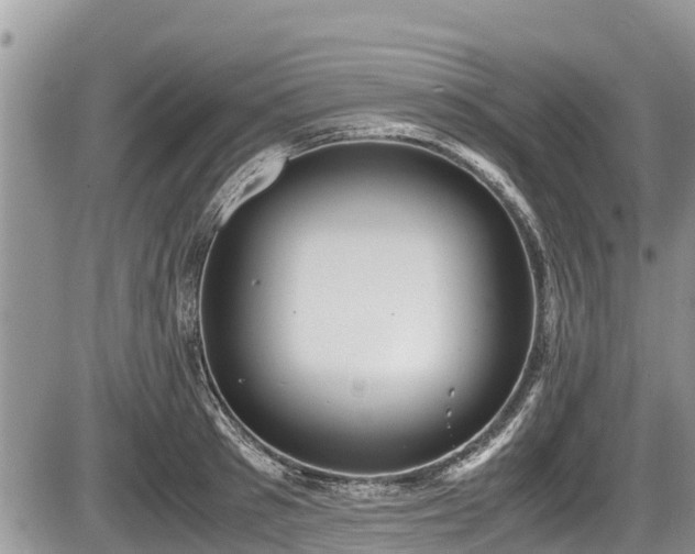 X0000085810897200703231333