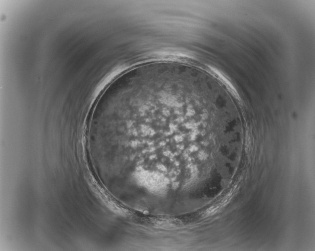 X0000085810899200703231333