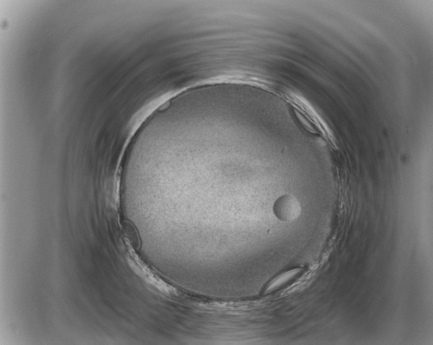 X0000085810900200703231332