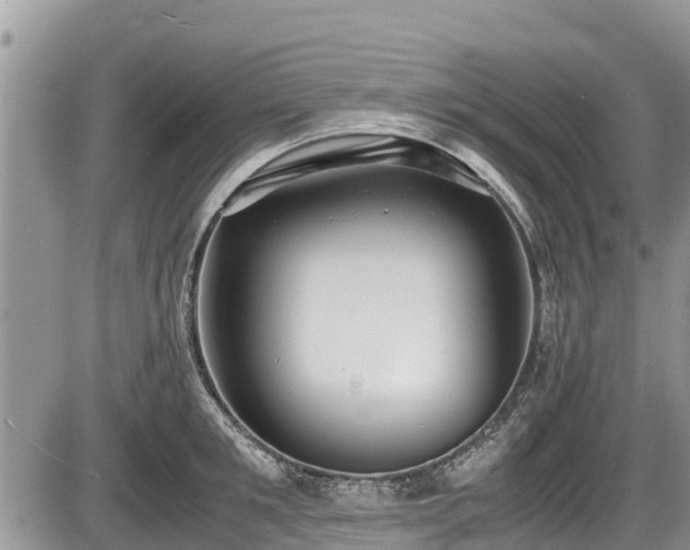 X0000085810901200703231332