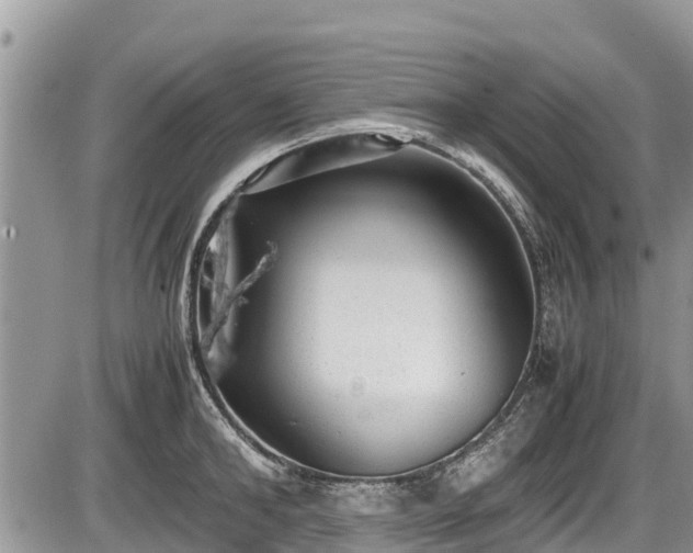 X0000085810902200703231332