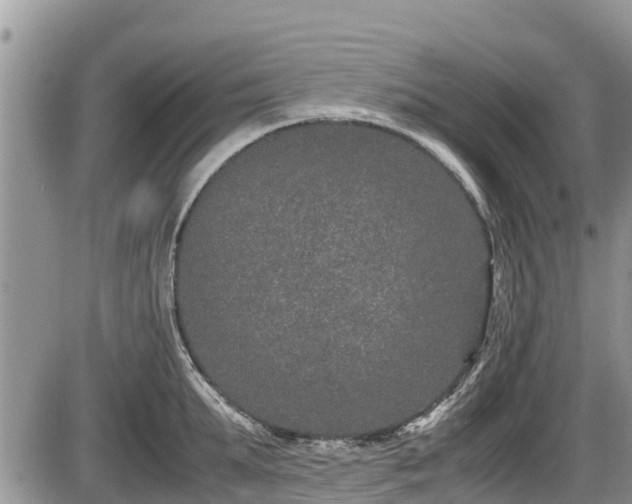 X0000085810903200703231332