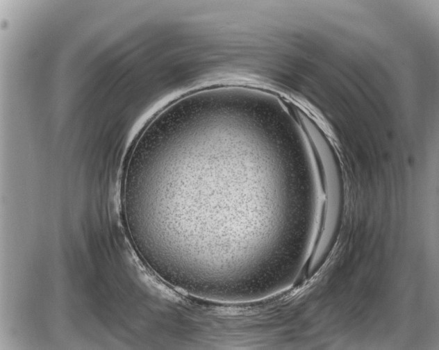 X0000085810904200703231332