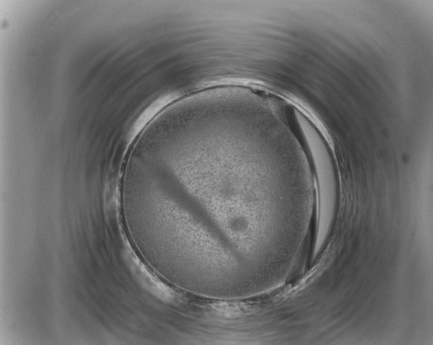 X0000085810906200703231332