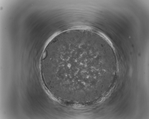 X0000085810907200703231332