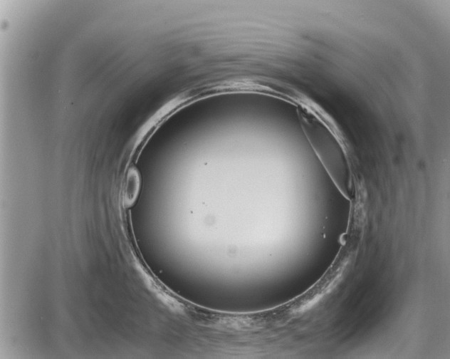 X0000085810909200703231332