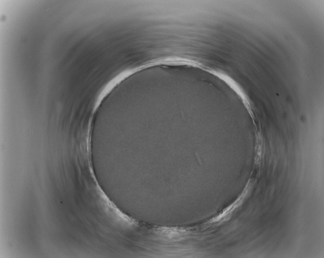 X0000085810910200703231332