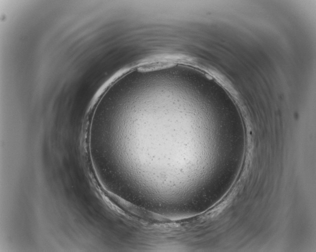 X0000085810912200703231332