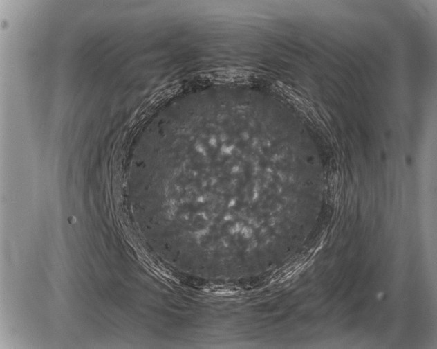 X0000085810913200703231331