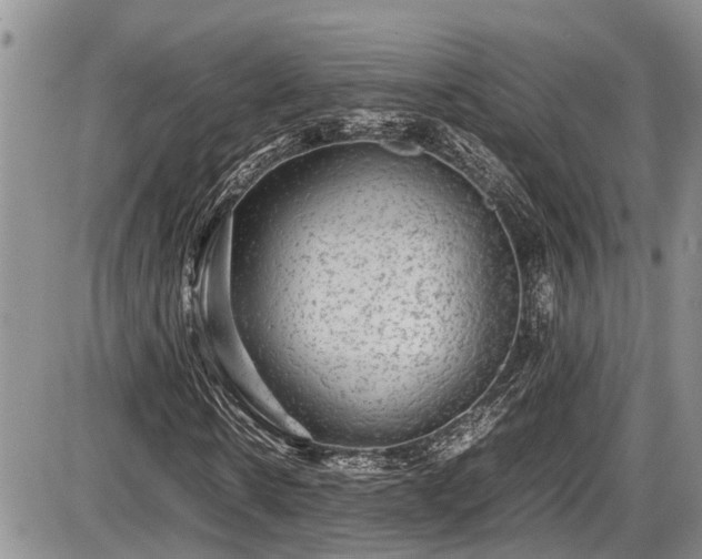 X0000085810914200703231331