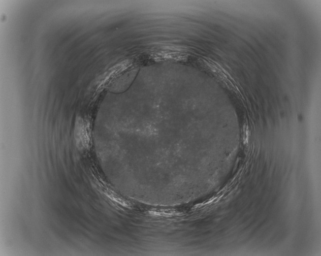 X0000085810915200703231332