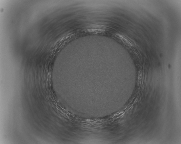 X0000085810917200703231332