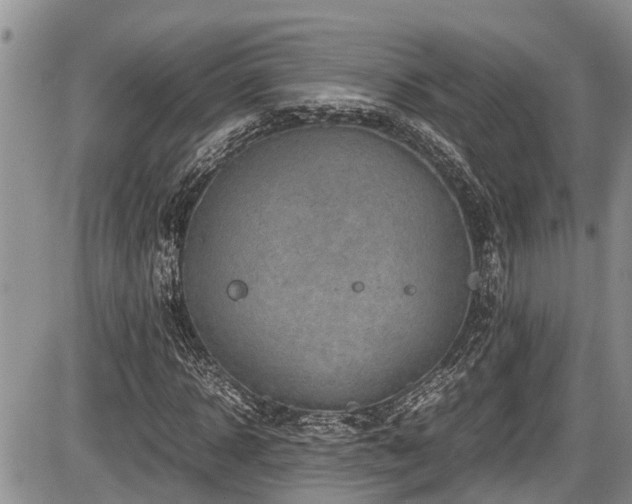 X0000085810918200703231332