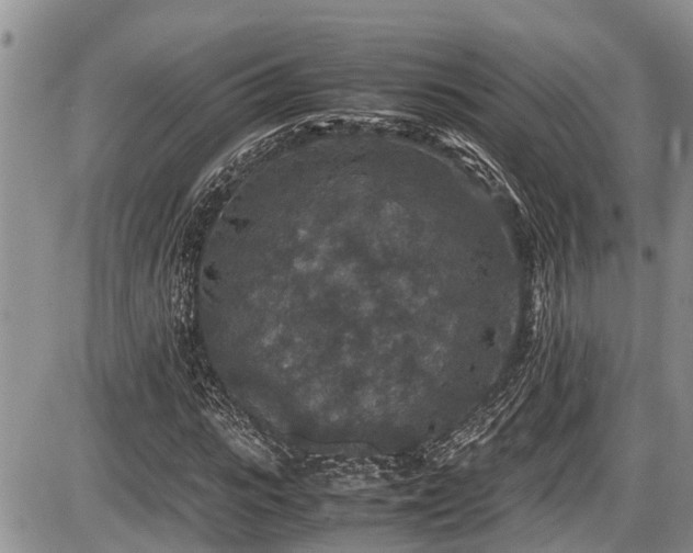 X0000085810919200703231332