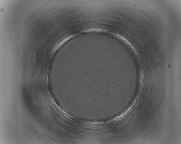 X0000085810921200703231332