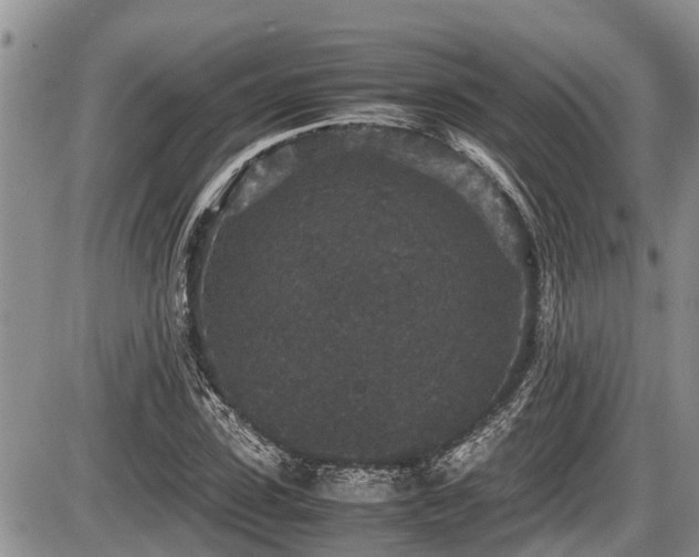 X0000085810923200703231332