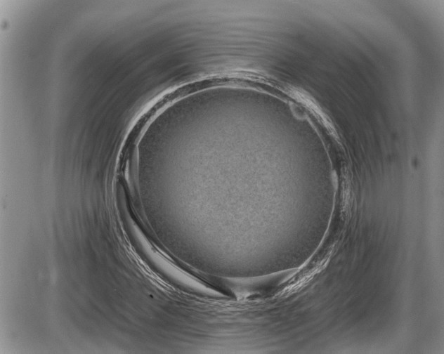 X0000085810924200703231332