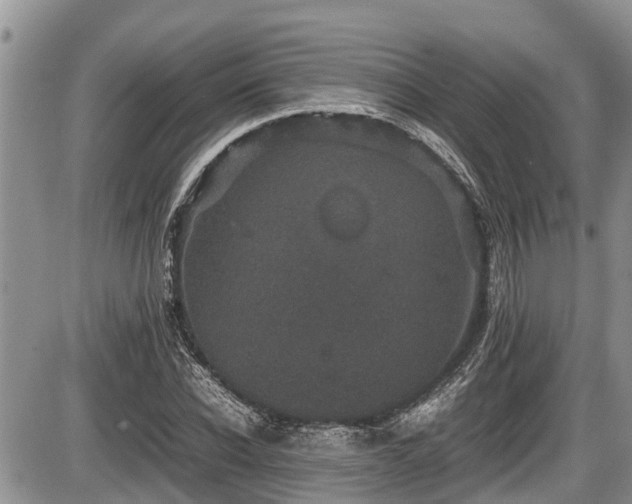 X0000085810926200703231332