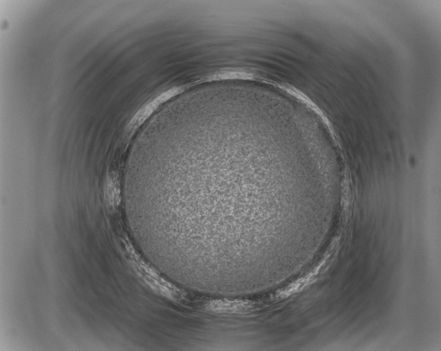 X0000085810929200703231332