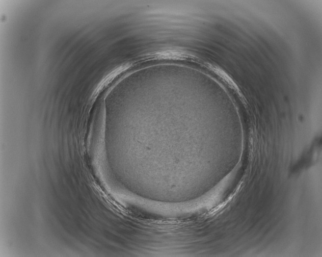 X0000085810930200703231332