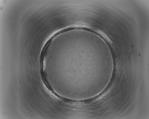 X0000085810934200703231332