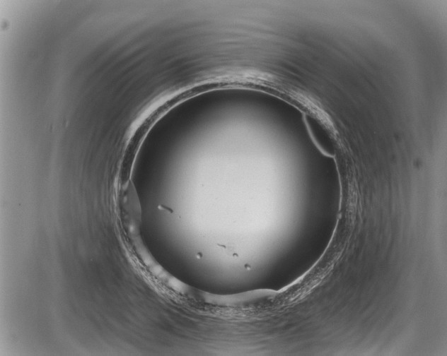 X0000085810936200703231332