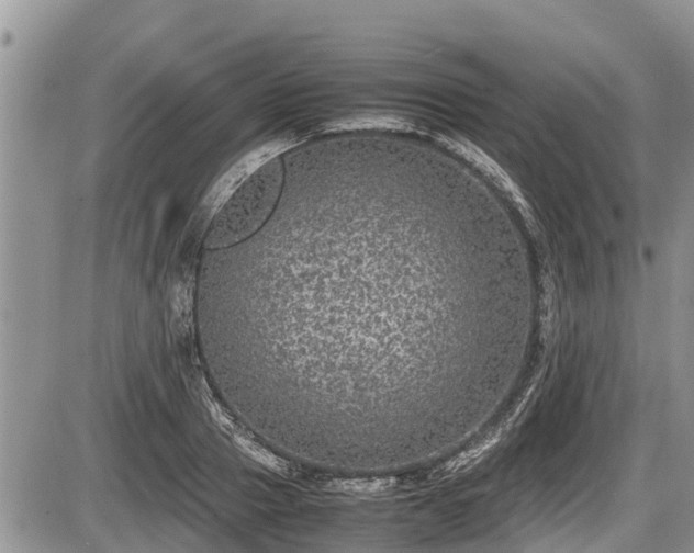 X0000085810937200703231332