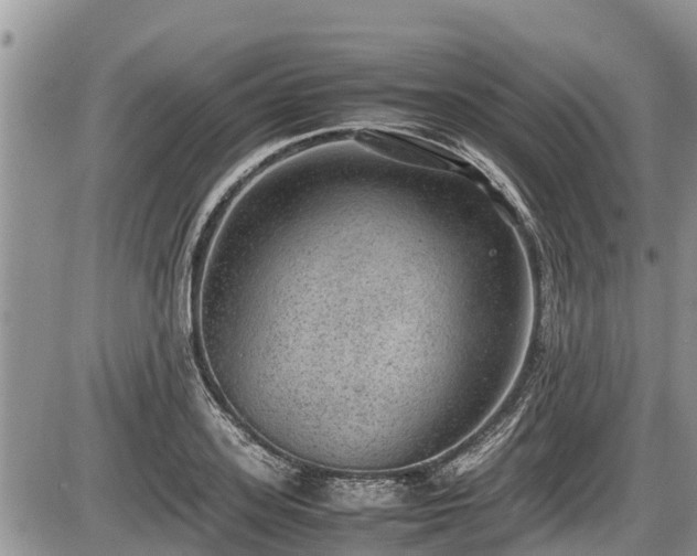 X0000085810939200703231332